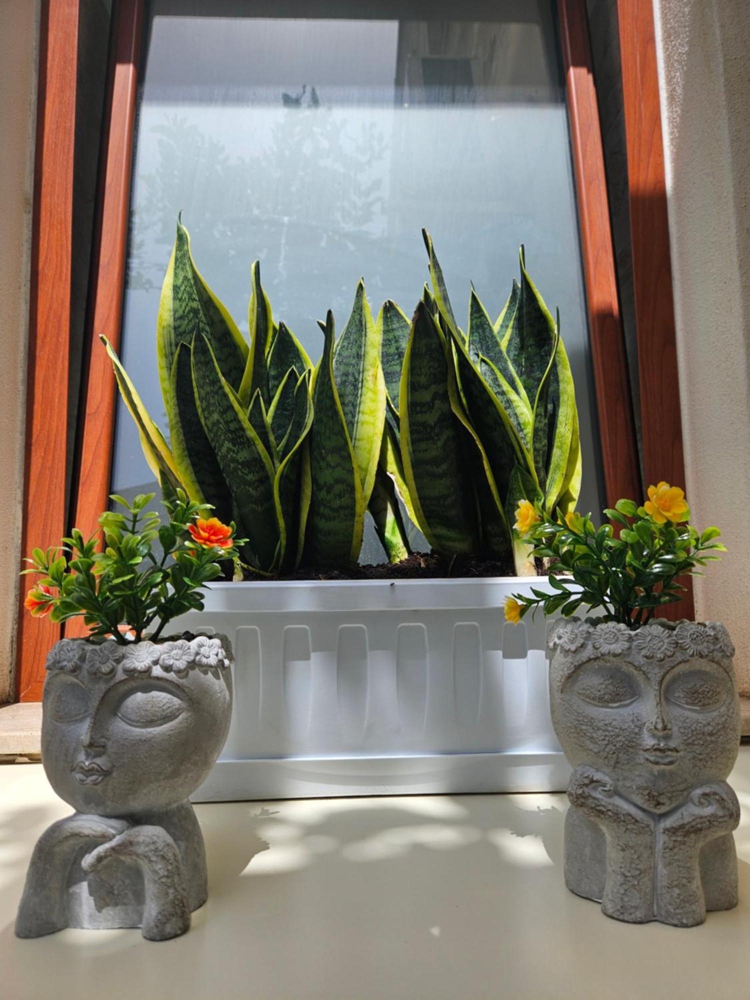 Guru House B&B Apartments 米拉佐 外观 照片